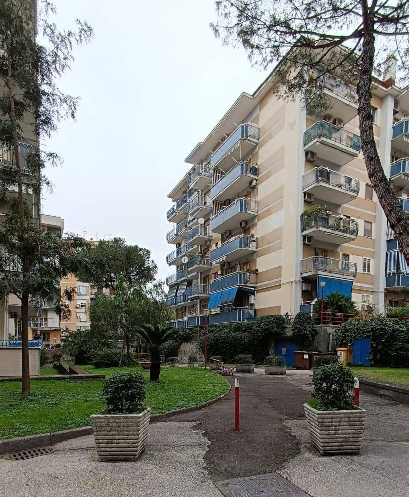 immagine annuncio 4 di 13