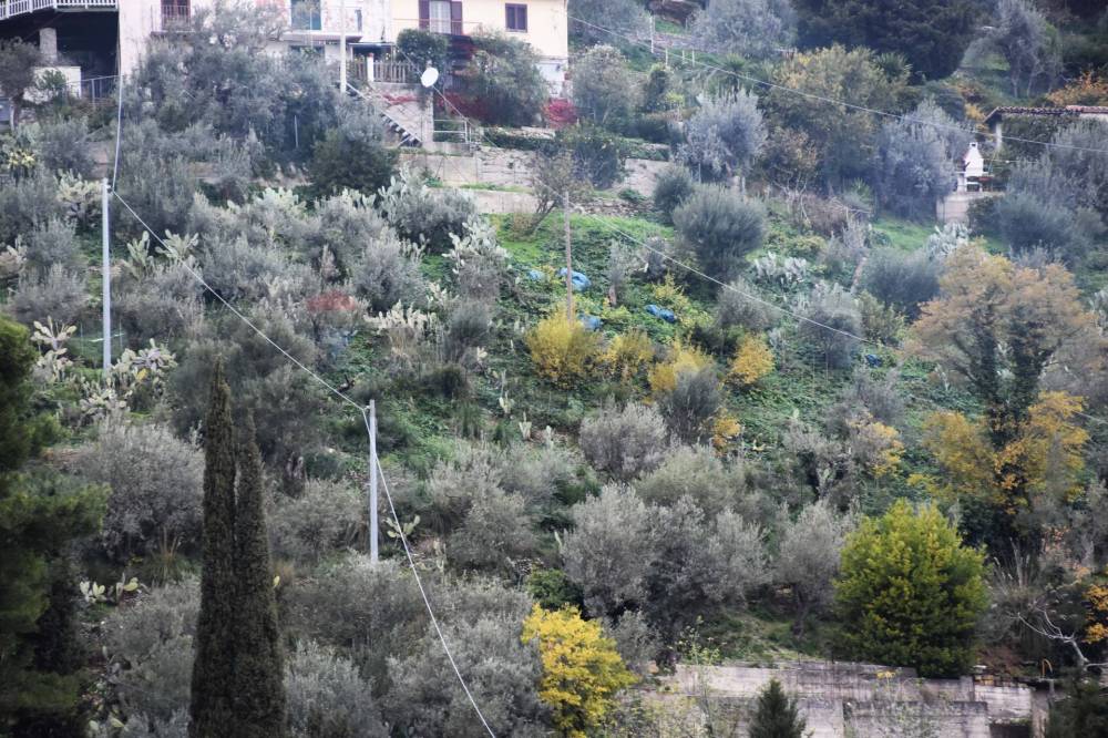 immagine annuncio 8 di 13