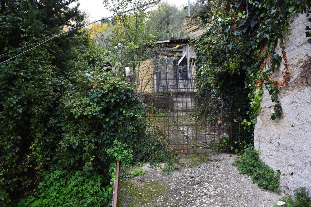 immagine annuncio 12 di 13