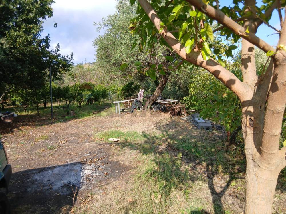 immagine annuncio 8 di 13