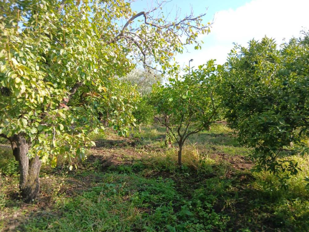 immagine annuncio 12 di 13