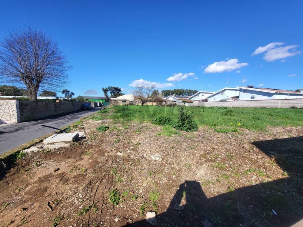 immagine annuncio 2 di 13