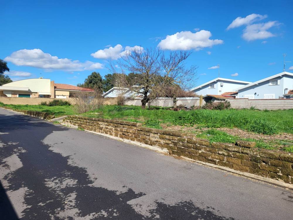 immagine annuncio 3 di 13