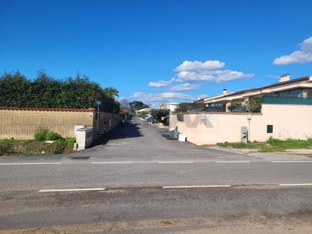 immagine annuncio 12 di 13