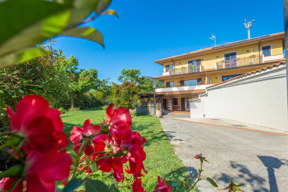 immagine annuncio 6 di 13