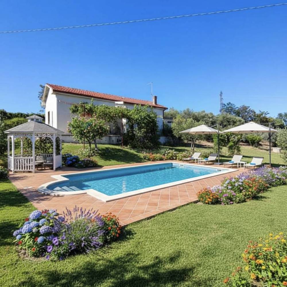 immagine annuncio 4 di 13