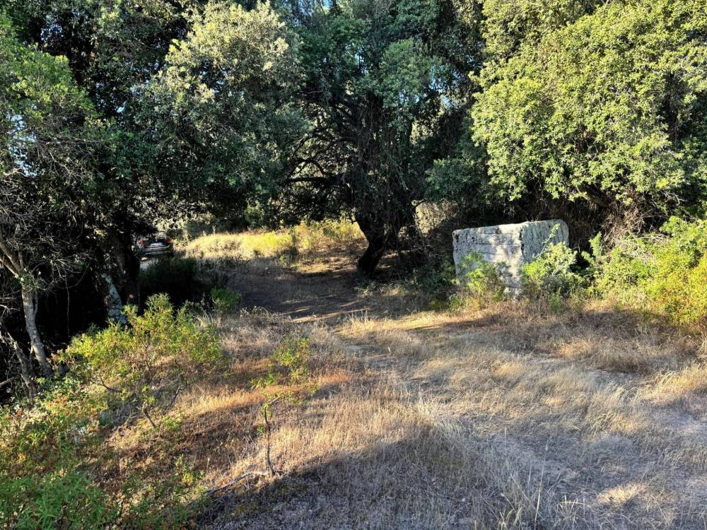 immagine annuncio 6 di 12