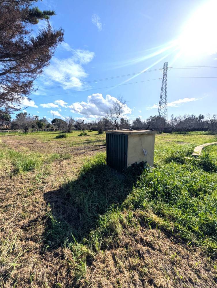 immagine annuncio 8 di 13