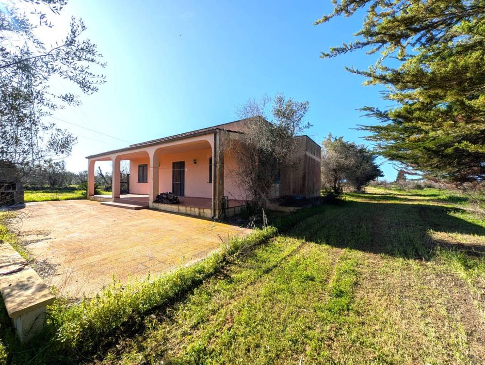 immagine annuncio 12 di 13