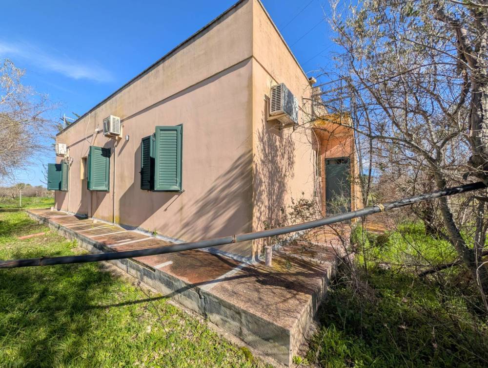 immagine annuncio 6 di 13