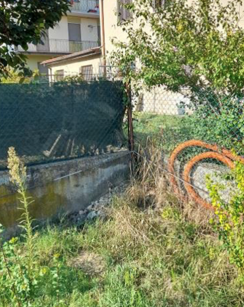 immagine annuncio 2 di 13